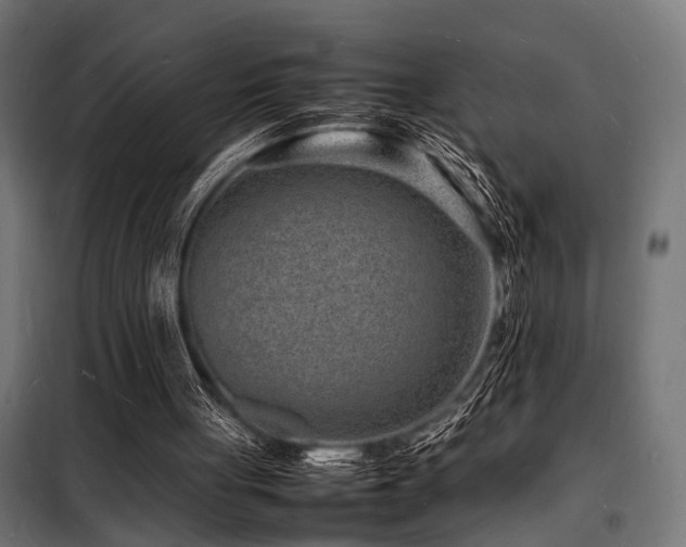 X0000098180051200804241230