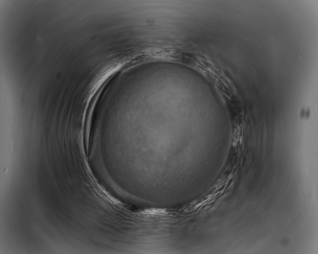 X0000098180052200804241230