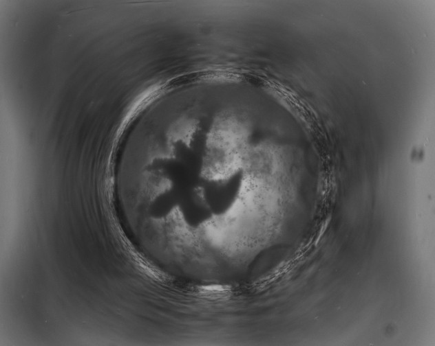 X0000098180053200804241230