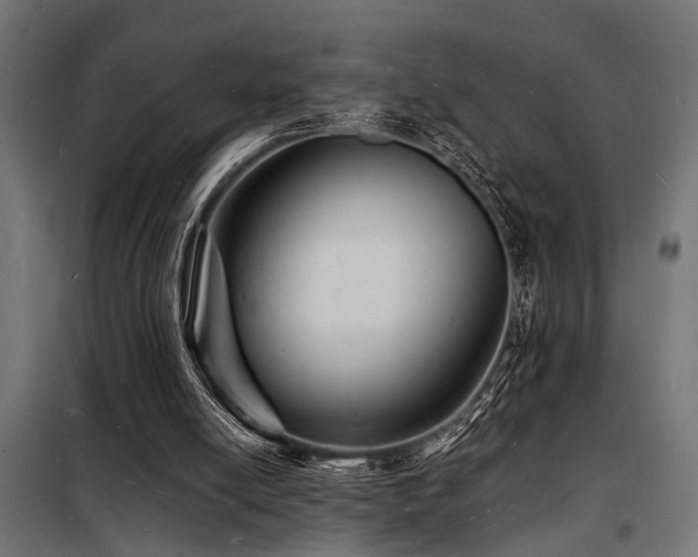 X0000098180054200804241230