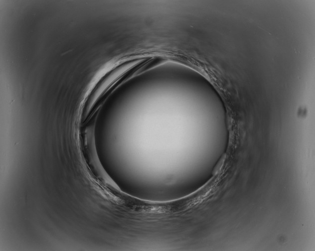 X0000098180056200804241230