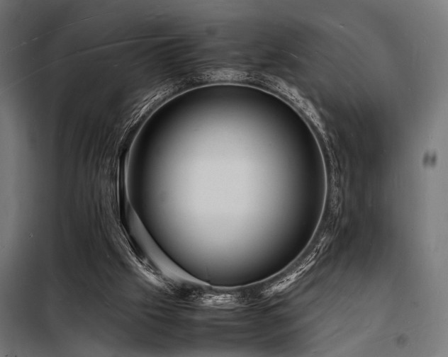X0000098180057200804241231