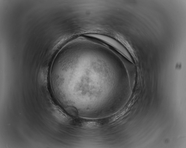 X0000098180058200804241231
