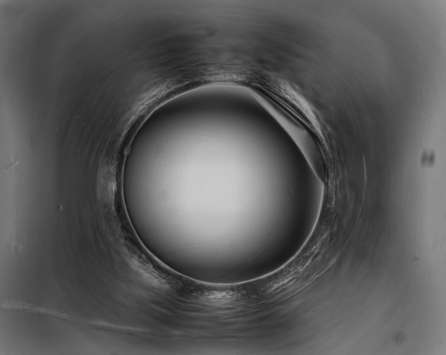 X0000098180059200804241231