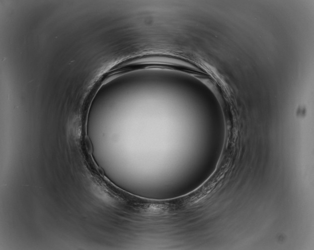 X0000098180060200804241231