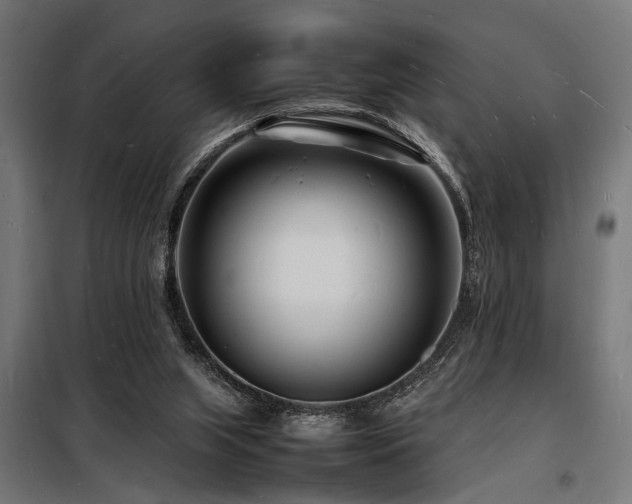 X0000098180063200804241231