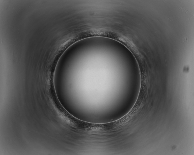 X0000098180066200804241231