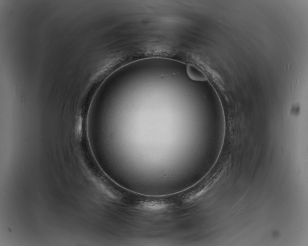 X0000098180067200804241231