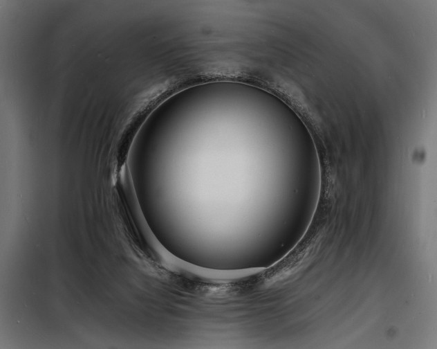 X0000098180068200804241231