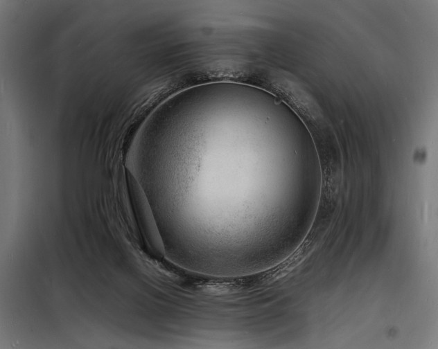 X0000098180070200804241231