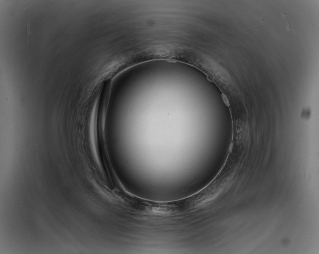 X0000098180072200804241231