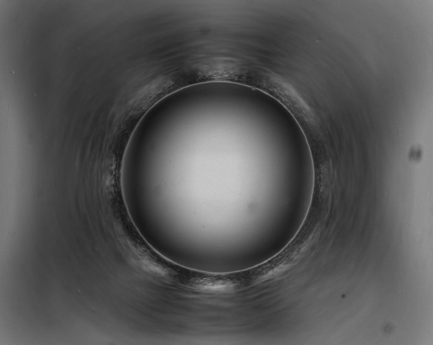 X0000098180073200804241231