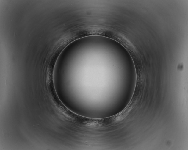 X0000098180074200804241231