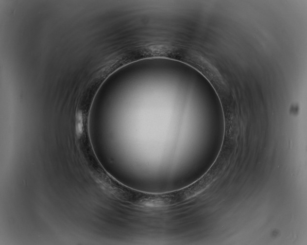 X0000098180075200804241231