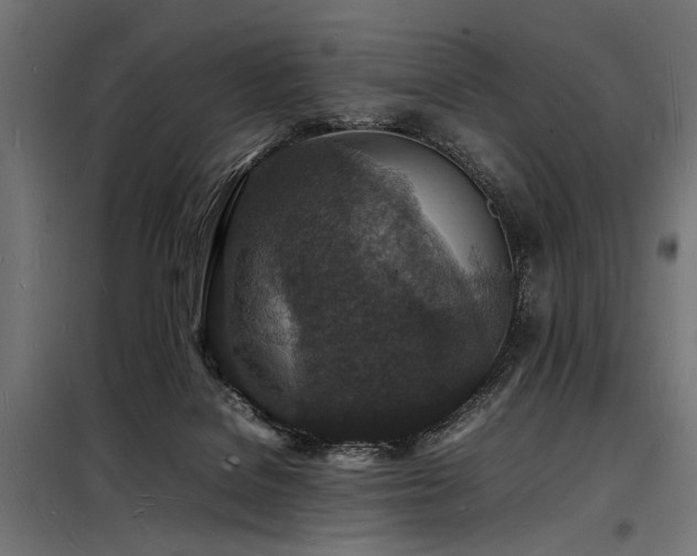 X0000098180076200804241231