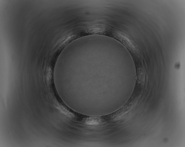 X0000098180077200804241231