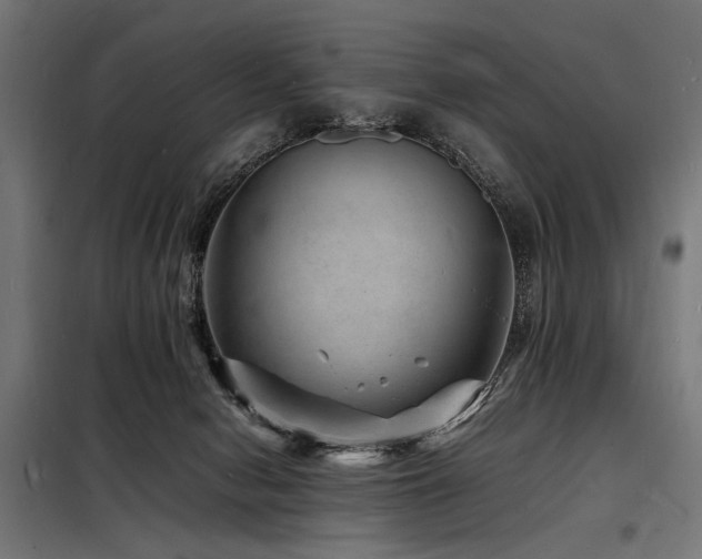 X0000098180078200804241231