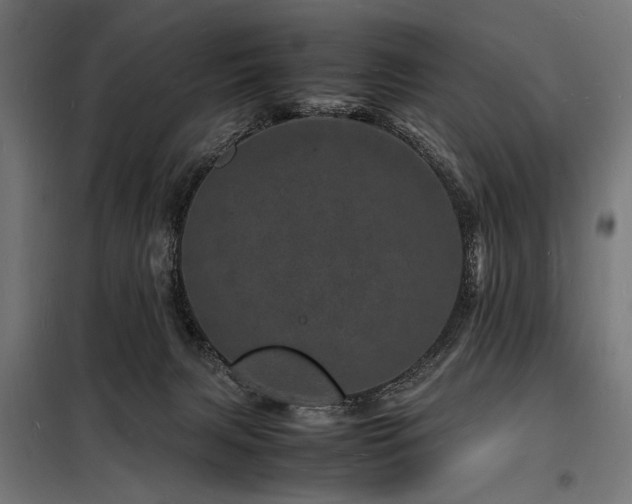 X0000098180079200804241231