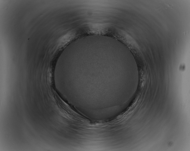 X0000098180080200804241231