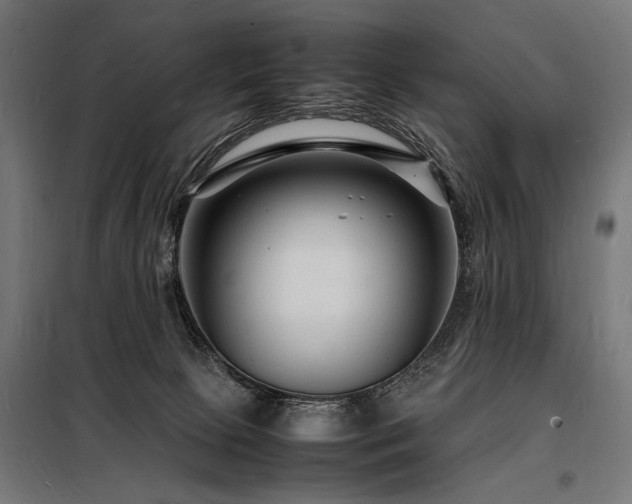 X0000098180081200804241231