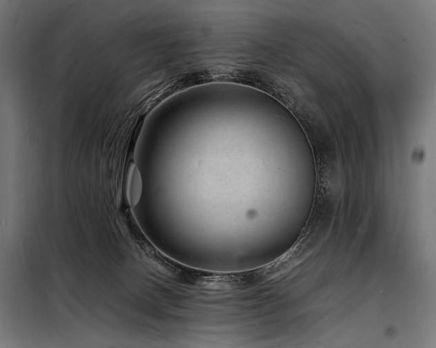 X0000098180082200804241231