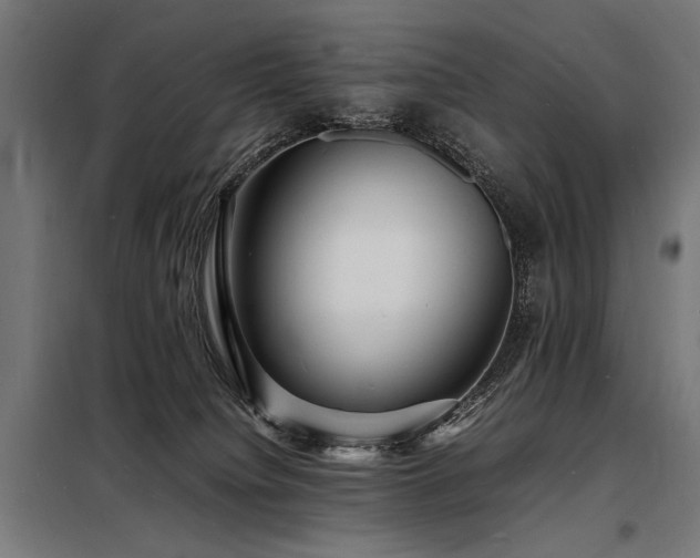 X0000098180084200804241231