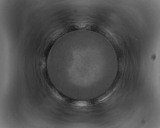 X0000098180085200804241231