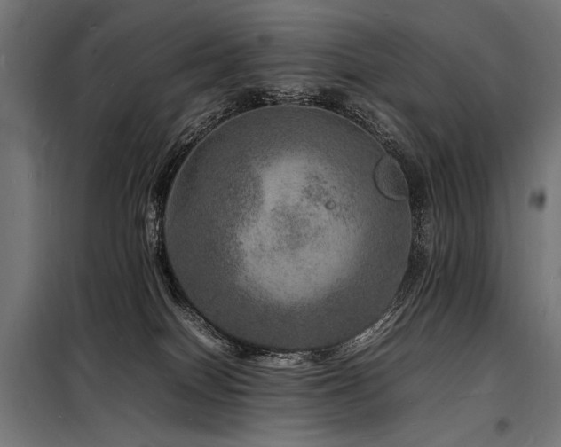 X0000098180086200804241231