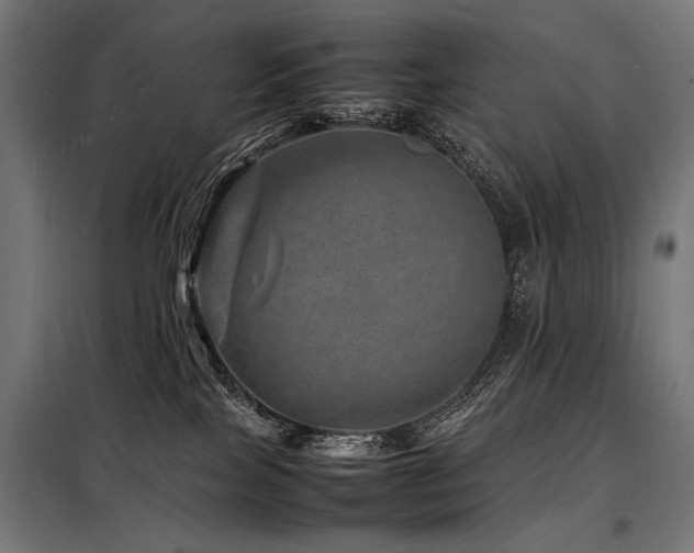 X0000098180089200804241231
