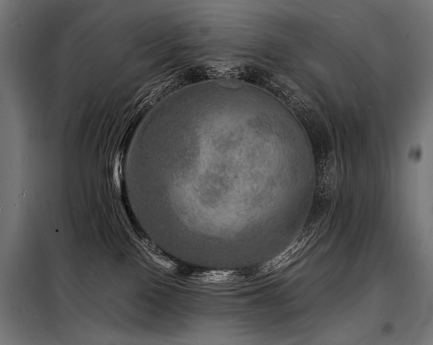 X0000098180090200804241231