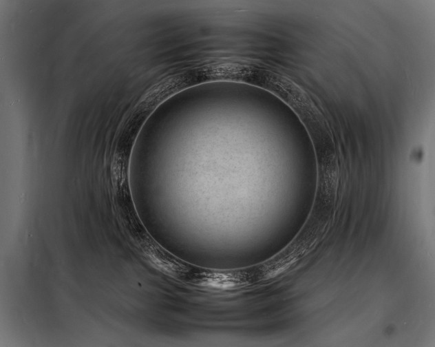 X0000098180091200804241231