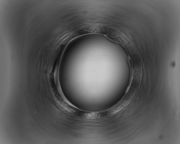 X0000098180092200804241231