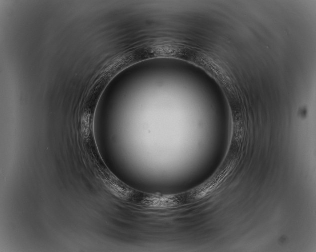 X0000098180093200804241231