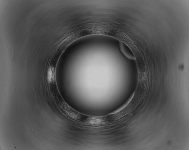 X0000098180095200804241231