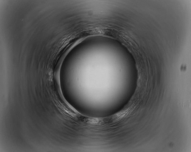 X0000098180096200804241231
