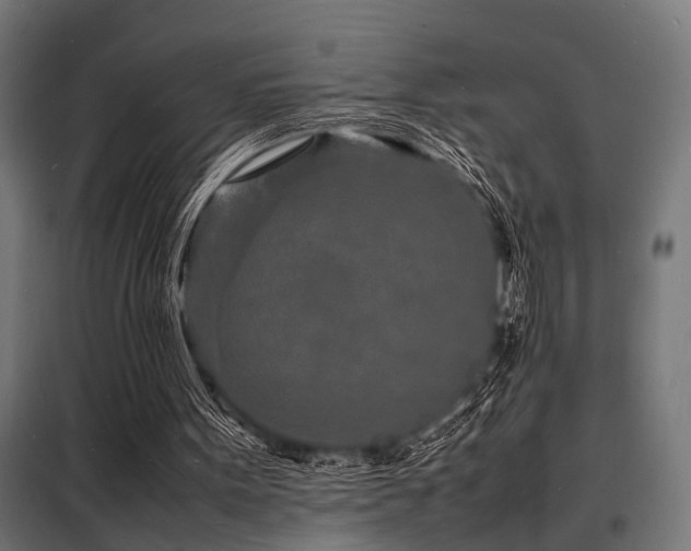 X0000098180099200804241230