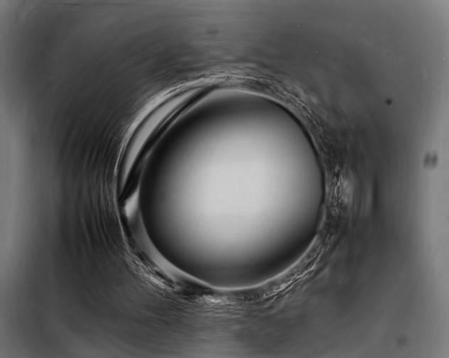 X0000098180100200804241230