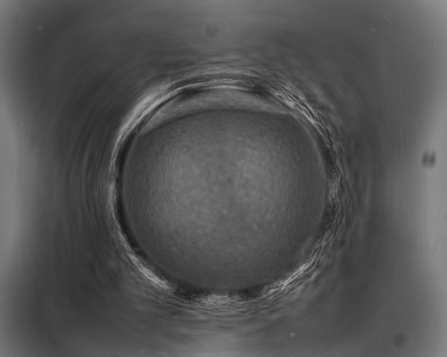 X0000098180101200804241230