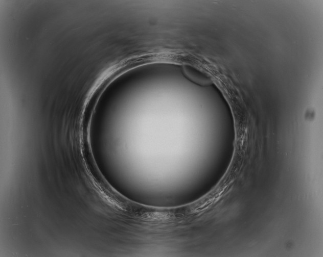X0000098180102200804241230