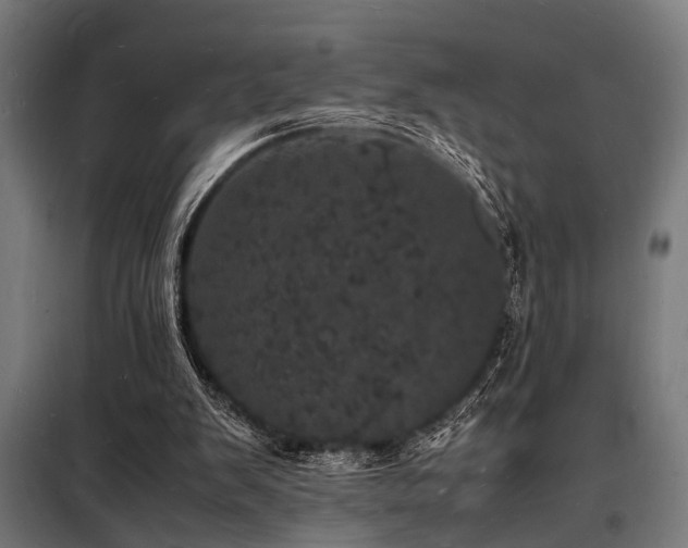 X0000098180103200804241230