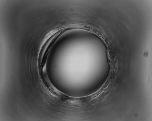 X0000098180104200804241230