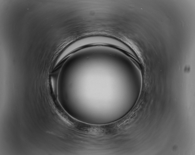 X0000098180105200804241230