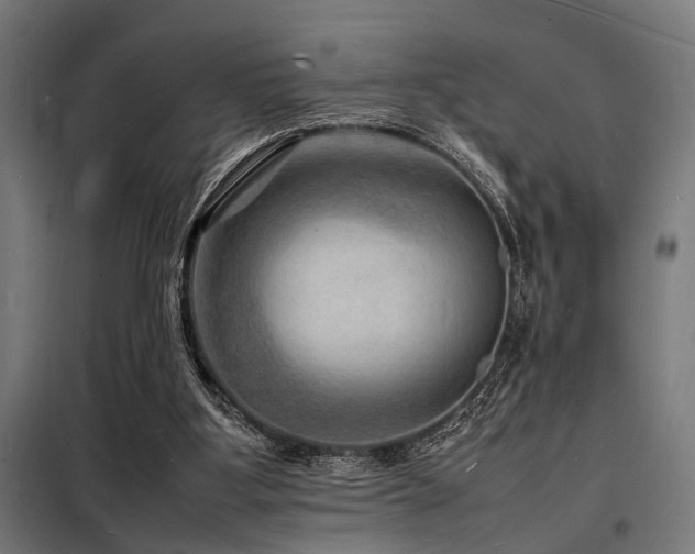 X0000098180107200804241230
