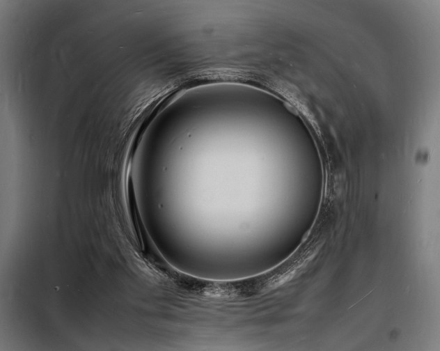 X0000098180109200804241230