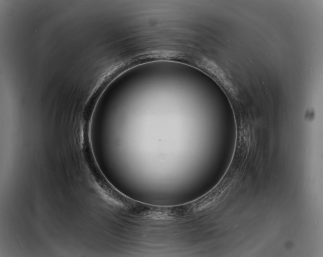 X0000098180110200804241230