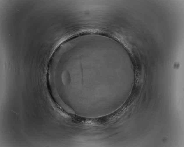 X0000098180111200804241230