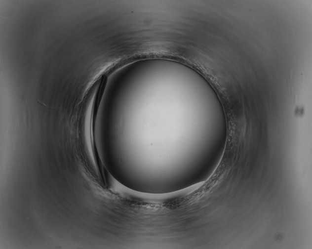 X0000098180112200804241230