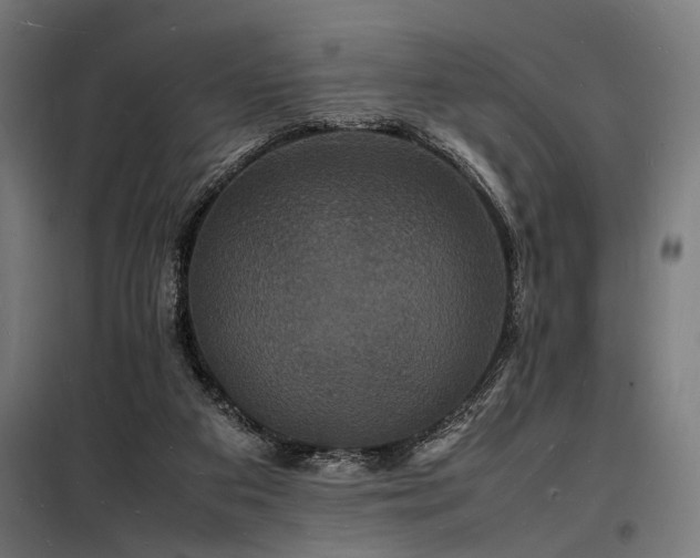 X0000098180113200804241230