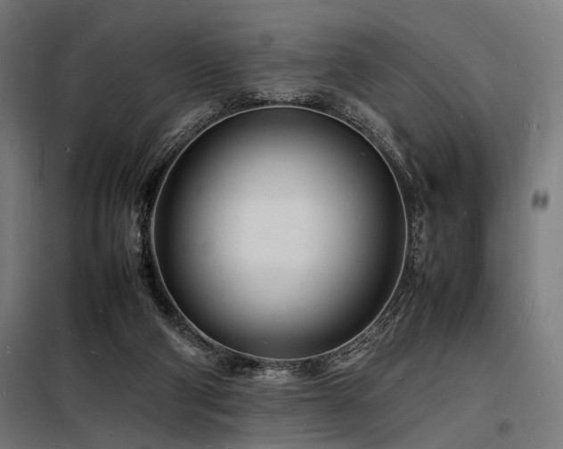 X0000098180114200804241230