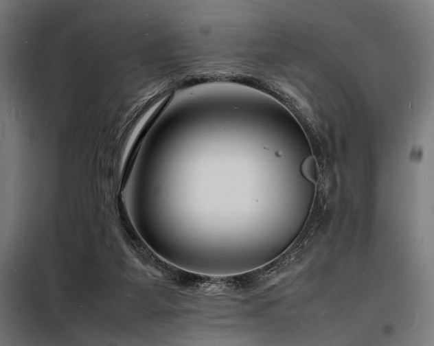 X0000098180115200804241230